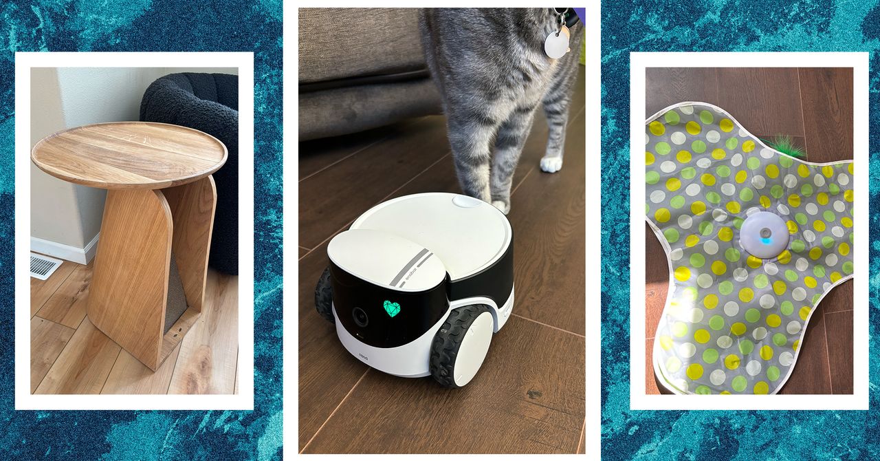 The Best Cat Toys for Your Furry Friend (2025)